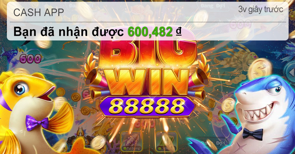 kq888